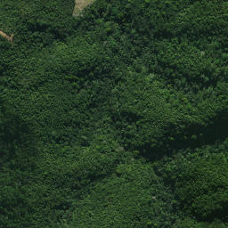 Satellite imagery of Mangaroa Pa, NZ
