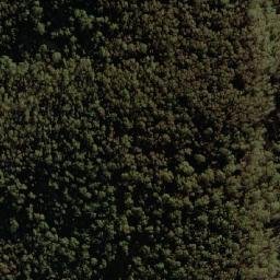 Satellite imagery of Dingi Dingi Ridge, AU