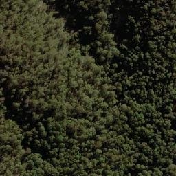 Satellite imagery of Dingi Dingi Ridge, AU