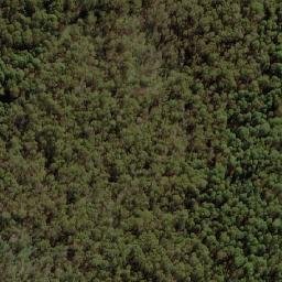 Satellite imagery of Devils Peak, AU