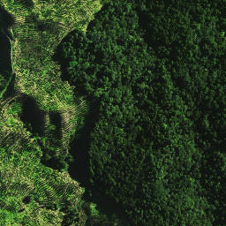 Satellite imagery of NGATIEKE NO 3, NZ