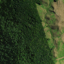 Satellite imagery of NGATIEKE NO 3, NZ