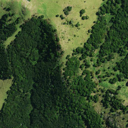 Satellite imagery of OTURIA, NZ