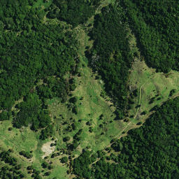 Satellite imagery of OTURIA, NZ