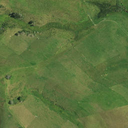 Satellite imagery of 1191, NZ