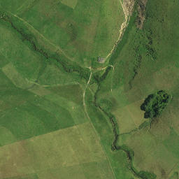 Satellite imagery of 1191, NZ