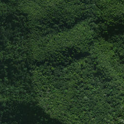 Satellite imagery of Mangaroa Pa, NZ