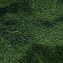 Satellite imagery of Mangaroa Pa, NZ