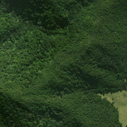 Satellite imagery of Mangaroa Pa, NZ