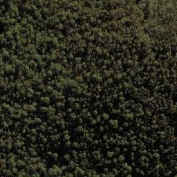 Satellite imagery of Devils Peak, AU