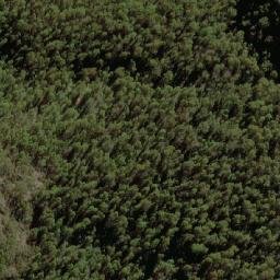 Satellite imagery of Devils Peak, AU