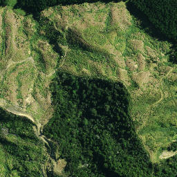 Satellite imagery of 42 PAREOKAWA, NZ