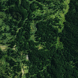 Satellite imagery of 42 PAREOKAWA, NZ