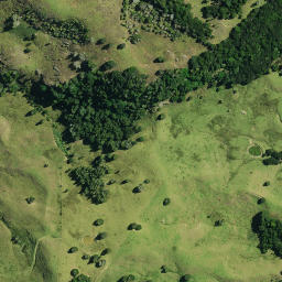 Satellite imagery of OTURIA, NZ