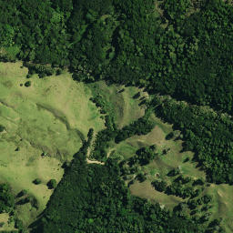 Satellite imagery of OTURIA, NZ