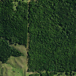 Satellite imagery of OTURIA, NZ