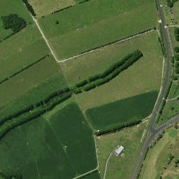 Satellite imagery of H NO 2, NZ