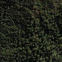 Satellite imagery of Devils Peak, AU