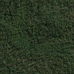 Satellite imagery of Buckleys Point, AU