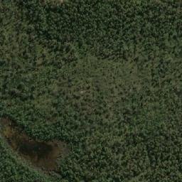 Satellite imagery of Buckleys Point, AU