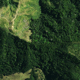 Satellite imagery of 42 PAREOKAWA, NZ