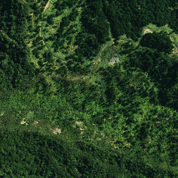 Satellite imagery of 42 PAREOKAWA, NZ