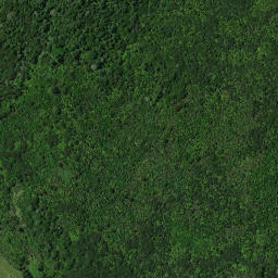 Satellite imagery of Whakataha Pa, NZ