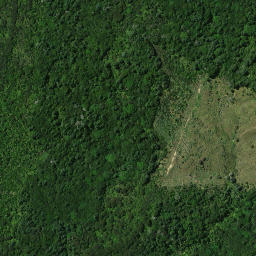 Satellite imagery of Whakataha Pa, NZ