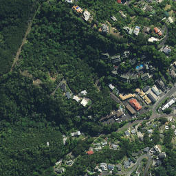 Satellite imagery of Haumai Point, NZ