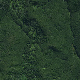 Satellite imagery of Mokunui Arangi Pa, NZ