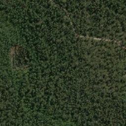 Satellite imagery of Buckleys Point, AU
