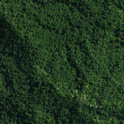 Satellite imagery of 42 PAREOKAWA, NZ
