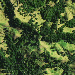 Satellite imagery of 1421 SO 46182, NZ