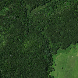 Satellite imagery of Whakataha Pa, NZ