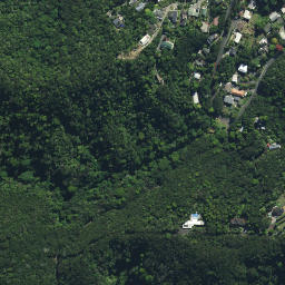 Satellite imagery of Haumai Point, NZ
