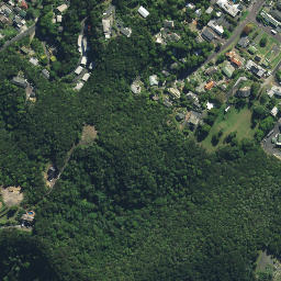 Satellite imagery of Haumai Point, NZ