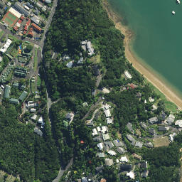 Satellite imagery of Haumai Point, NZ