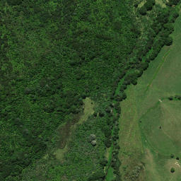 Satellite imagery of Whakataha Pa, NZ