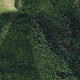 Satellite imagery of 1531, NZ
