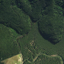 Satellite imagery of Haumai Point, NZ