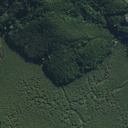 Satellite imagery of Haumai Point, NZ
