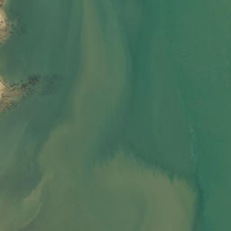 Satellite imagery of Okiato Point, NZ