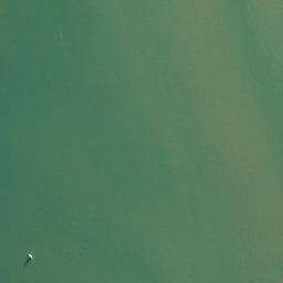 Satellite imagery of Okiato Point, NZ