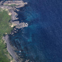 Satellite imagery of Terakihi Point, NZ
