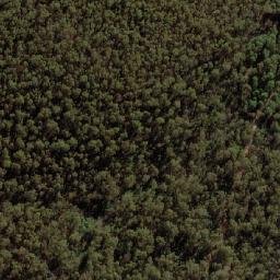 Satellite imagery of Mount Coree, AU