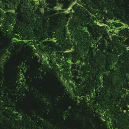 Satellite imagery of E NO 2, NZ