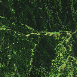 Satellite imagery of E NO 2, NZ