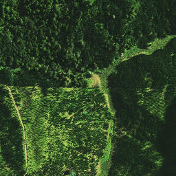 Satellite imagery of E NO 2, NZ