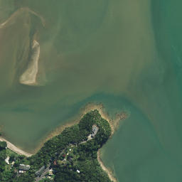 Satellite imagery of Okiato Point, NZ