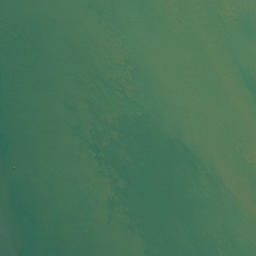 Satellite imagery of Okiato Point, NZ